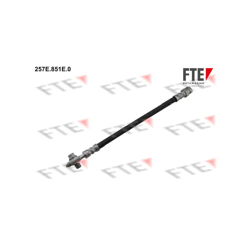 Flexible de frein FTE 257E.851E.0