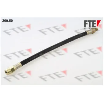 Flexible de frein FTE 260.50