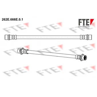 Flexible de frein FTE