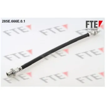 Flexible de frein FTE 285E.666E.0.1