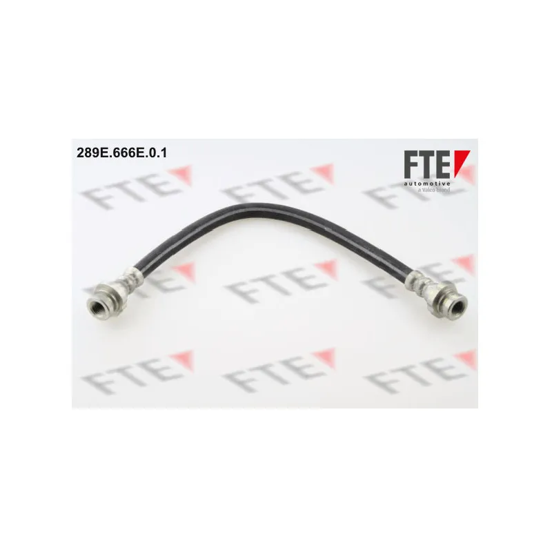 Flexible de frein FTE 289E.666E.0.1