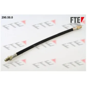 Flexible de frein FTE 290.50.0