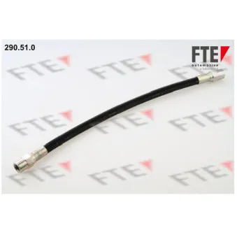 Flexible de frein FTE 290.51.0
