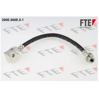 Flexible de frein FTE 290E.666E.0.1