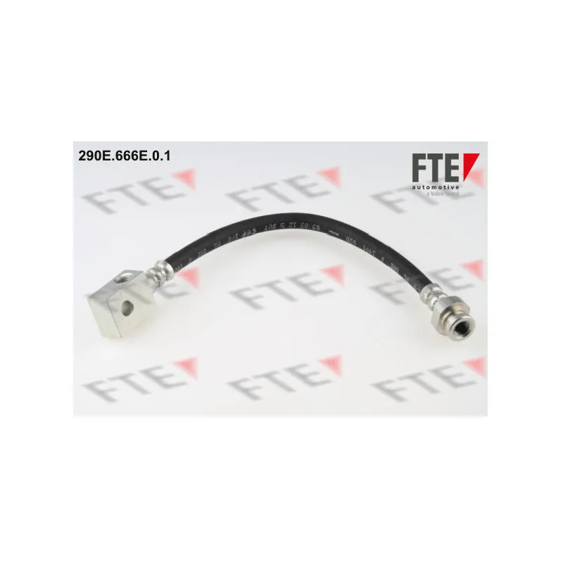 Flexible de frein FTE 290E.666E.0.1