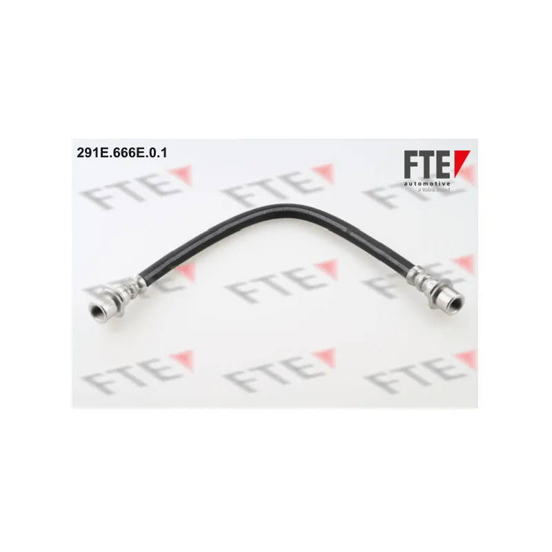 Flexible de frein FTE 291E.666E.0.1