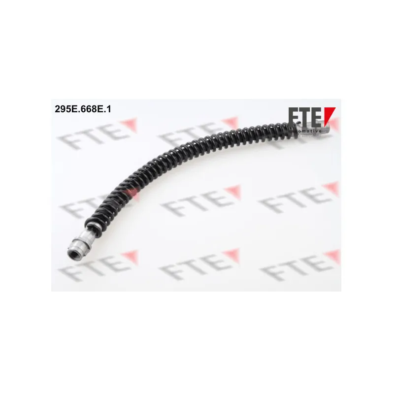 Flexible de frein FTE 295E.668E.1