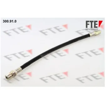Flexible de frein FTE