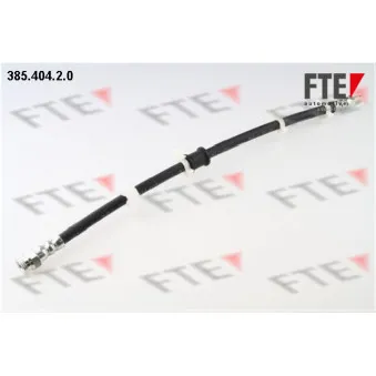 Flexible de frein FTE