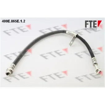 Flexible de frein FTE
