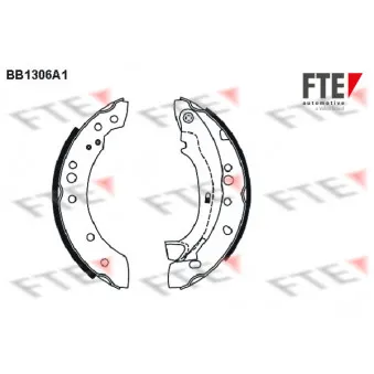 Jeu de mâchoires de frein FTE BB1306A1