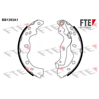 Jeu de mâchoires de frein FTE BB1393A1