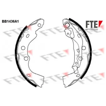 Jeu de mâchoires de frein FTE BB1436A1