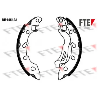 Jeu de mâchoires de frein FTE BB1451A1