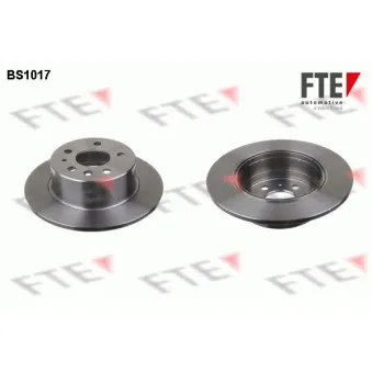 Jeu de 2 disques de frein arrière FTE BS1017