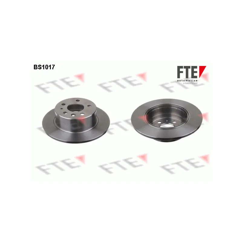 Jeu de 2 disques de frein arrière FTE BS1017