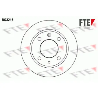 Jeu de 2 disques de frein arrière FTE BS3216