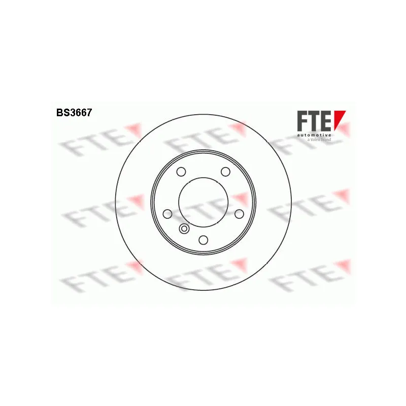 Jeu de 2 disques de frein avant FTE BS3667