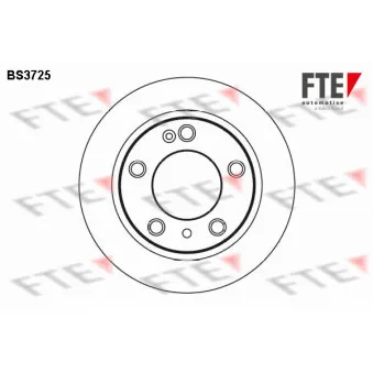 Jeu de 2 disques de frein arrière FTE BS3725