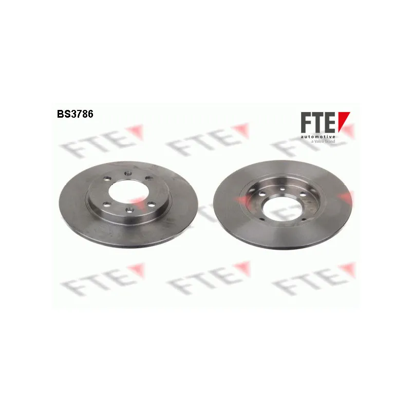 Jeu de 2 disques de frein arrière FTE BS3786