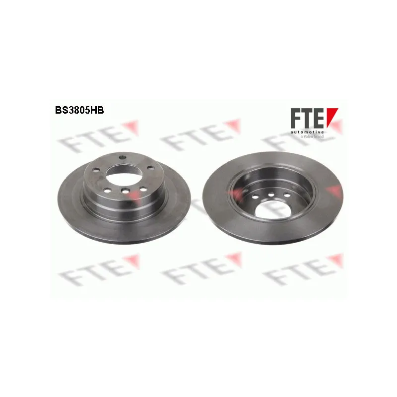 Jeu de 2 disques de frein arrière FTE BS3805HB