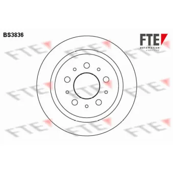 Jeu de 2 disques de frein arrière FTE BS3836