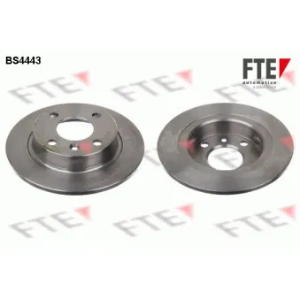 Jeu de 2 disques de frein arrière FTE BS4443