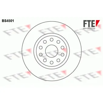 Jeu de 2 disques de frein avant FTE BS4501