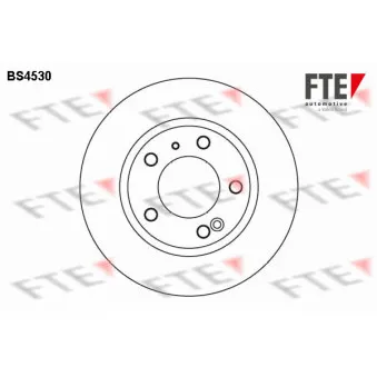 Jeu de 2 disques de frein arrière FTE BS4530