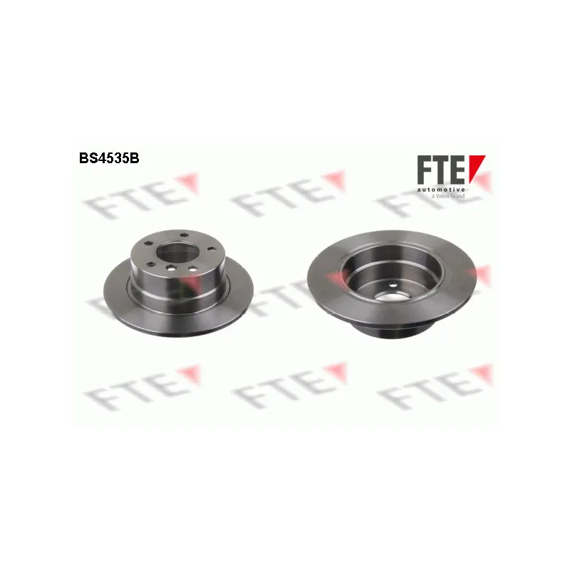 Jeu de 2 disques de frein arrière FTE BS4535B