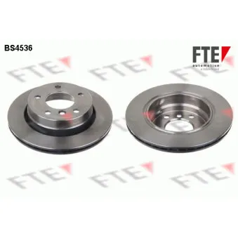 Jeu de 2 disques de frein arrière FTE BS4536