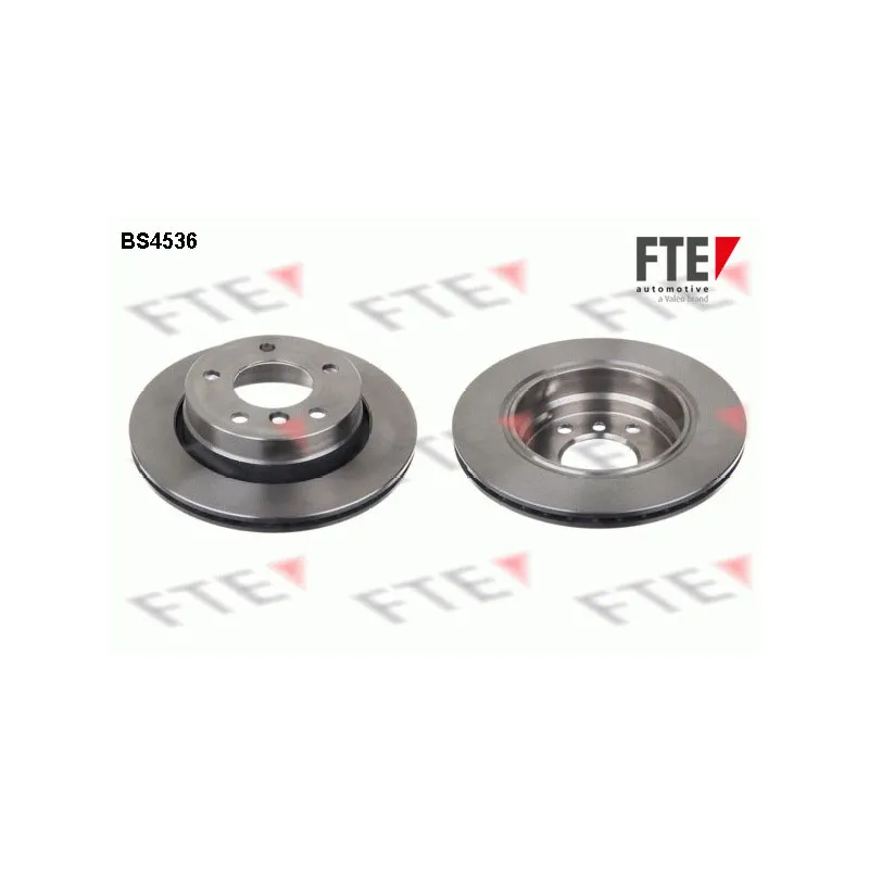 Jeu de 2 disques de frein arrière FTE BS4536