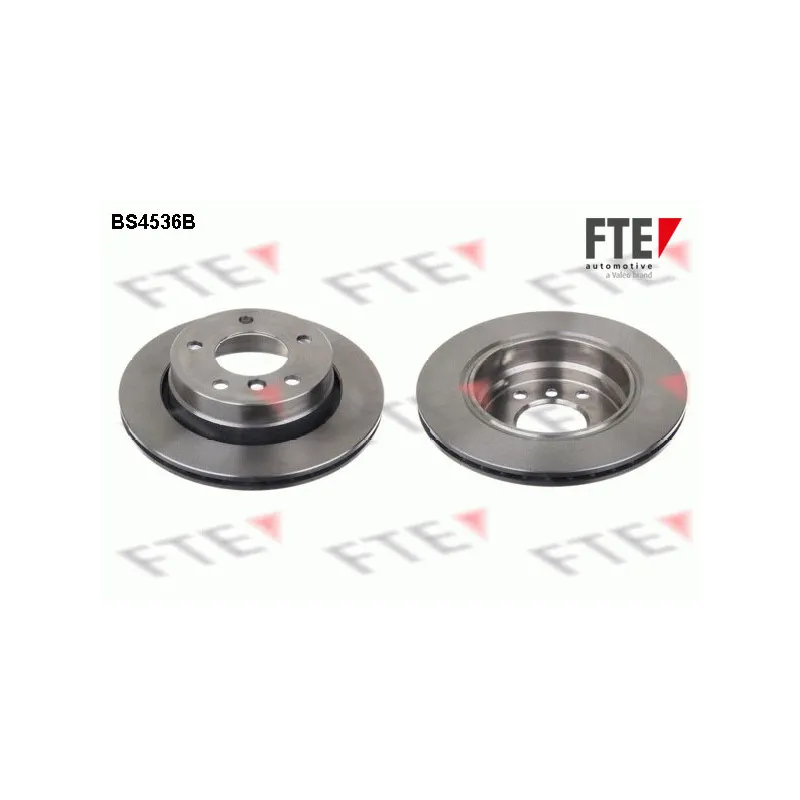 Jeu de 2 disques de frein arrière FTE BS4536B