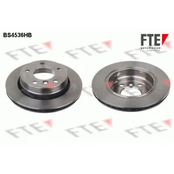 Jeu de 2 disques de frein arrière FTE BS4536HB