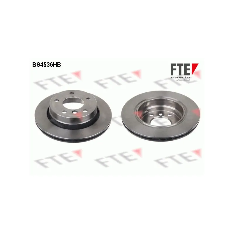 Jeu de 2 disques de frein arrière FTE BS4536HB
