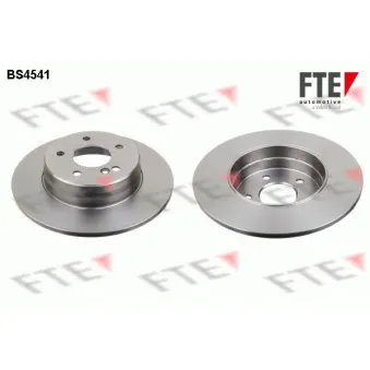 Jeu de 2 disques de frein arrière FTE BS4541