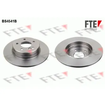 Jeu de 2 disques de frein arrière FTE BS4541B