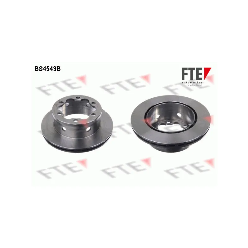 Jeu de 2 disques de frein arrière FTE BS4543B