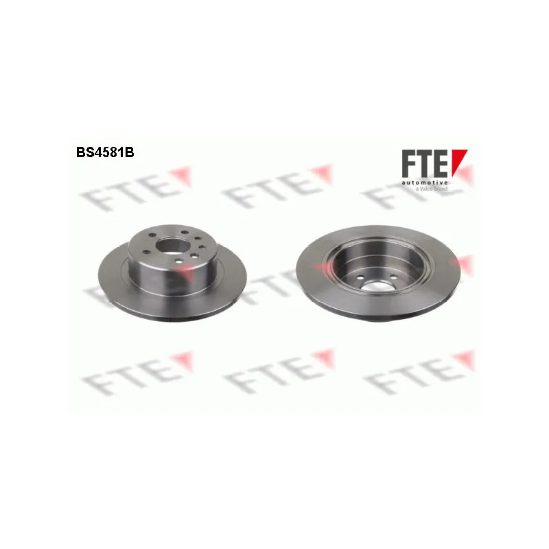 Jeu de 2 disques de frein arrière FTE BS4581B