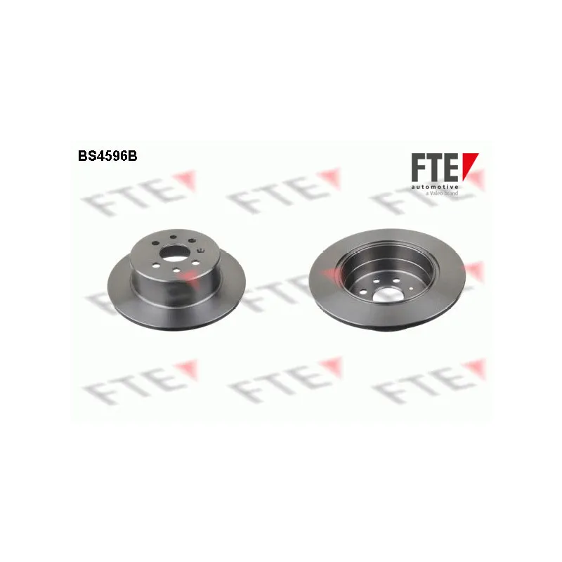 Jeu de 2 disques de frein arrière FTE BS4596B