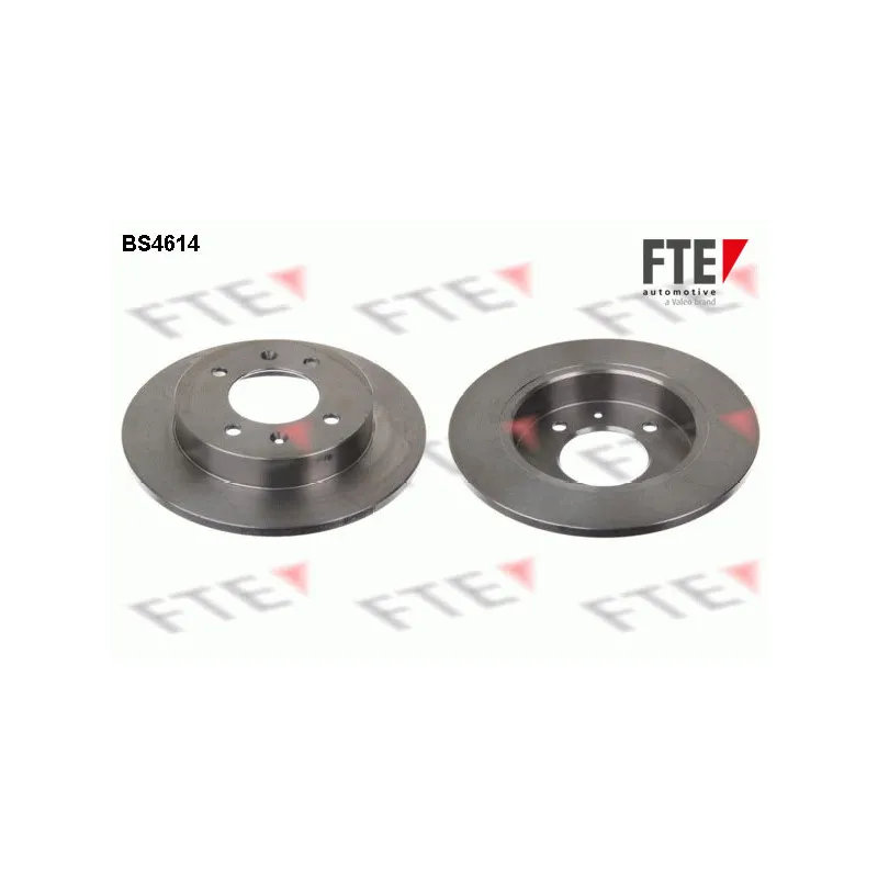 Jeu de 2 disques de frein arrière FTE BS4614