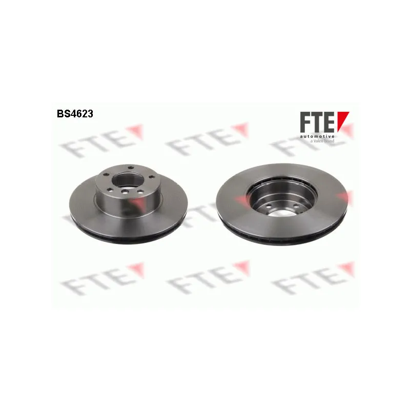 Jeu de 2 disques de frein avant FTE BS4623