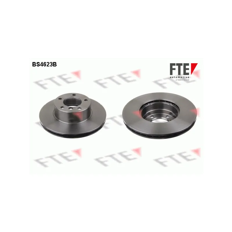Jeu de 2 disques de frein avant FTE BS4623B