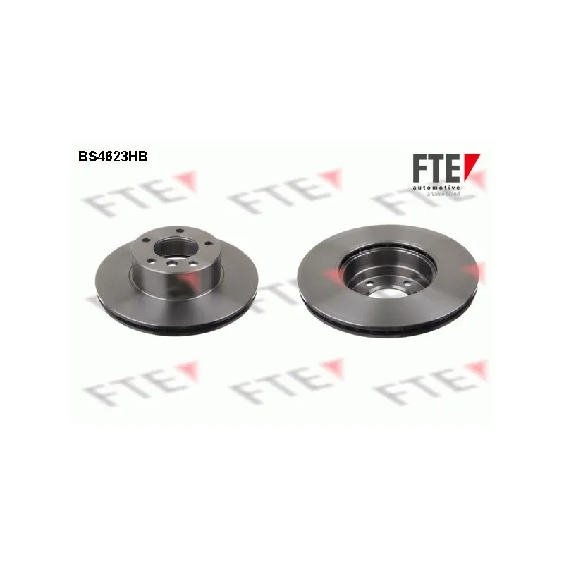 Jeu de 2 disques de frein avant FTE BS4623HB