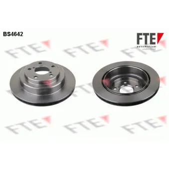 Jeu de 2 disques de frein arrière FTE BS4642