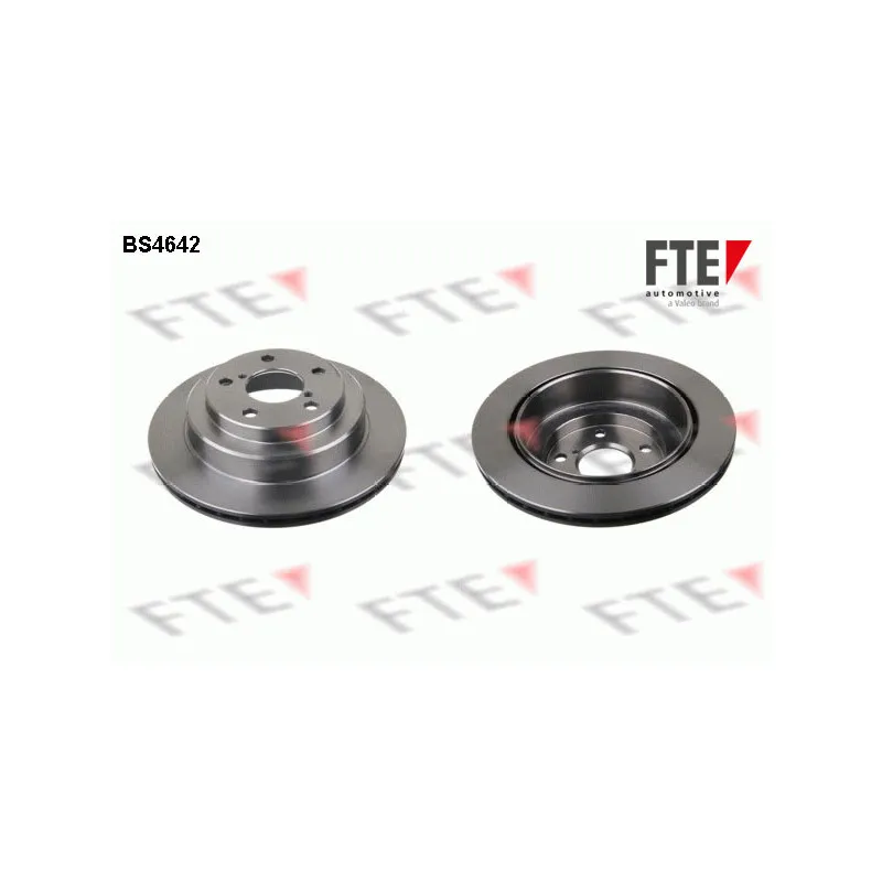 Jeu de 2 disques de frein arrière FTE BS4642