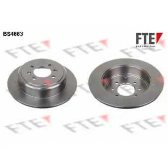 Jeu de 2 disques de frein arrière FTE BS4663