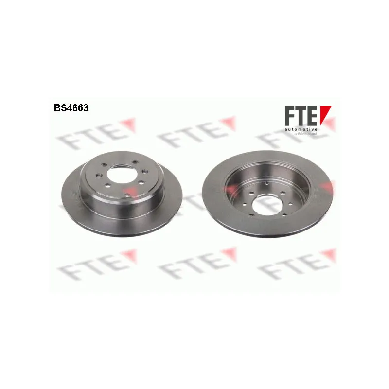 Jeu de 2 disques de frein arrière FTE BS4663