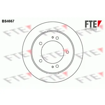 Jeu de 2 disques de frein avant FTE