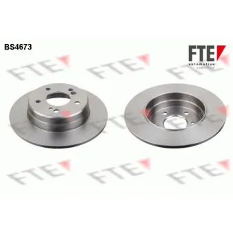 Jeu de 2 disques de frein arrière FTE BS4673